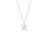 June Sterling Silver Star Necklace