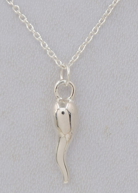 Joe Sterling Silver Necklace