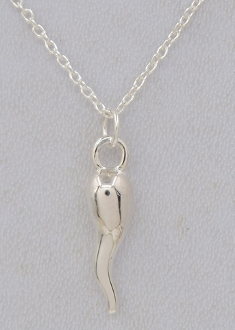 Joe Sterling Silver Necklace