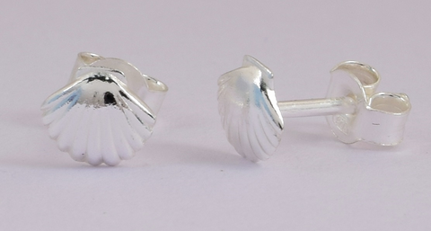 Eno Sterling Silver Elegant  Earrings