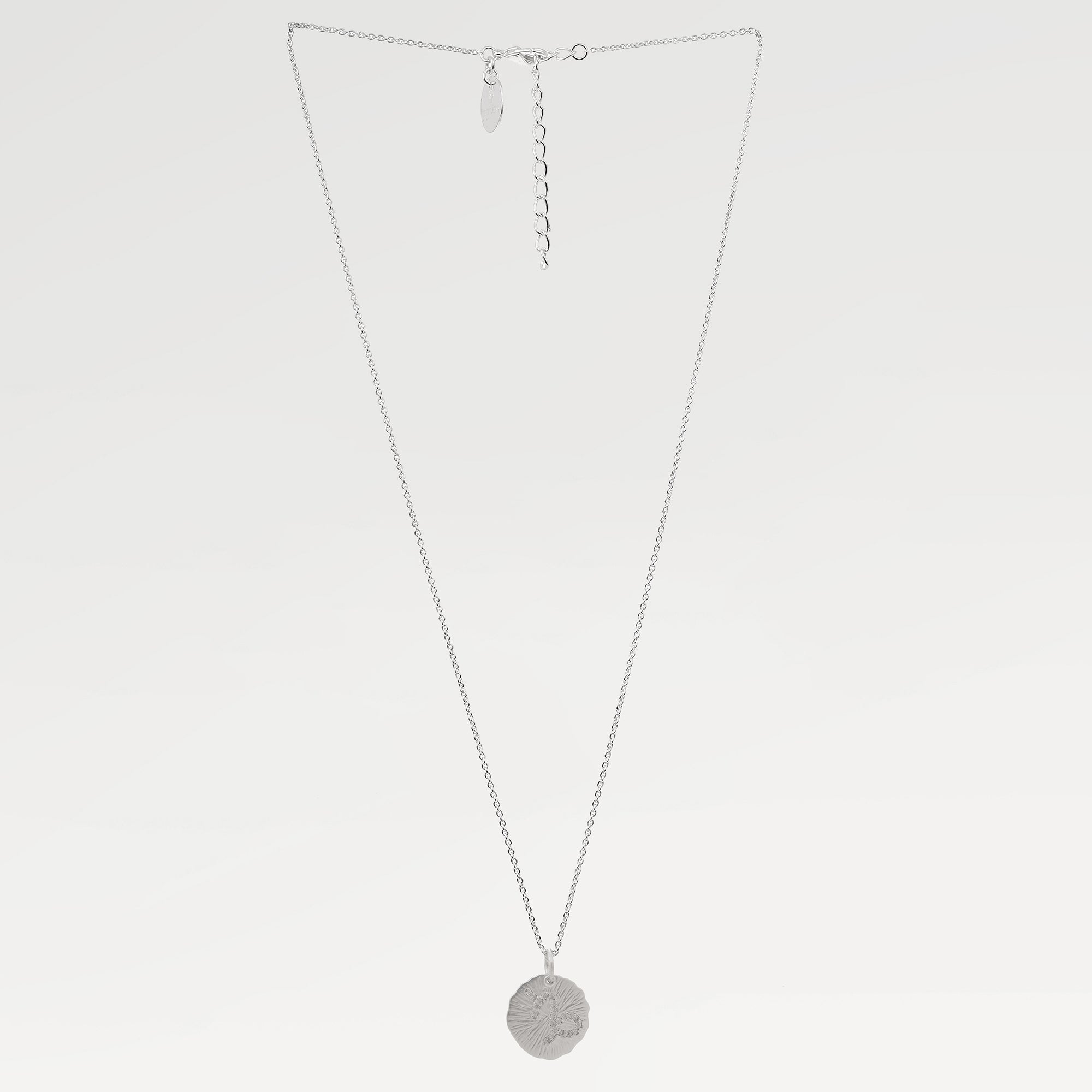 Zoe Capricorn Zodiac Necklace