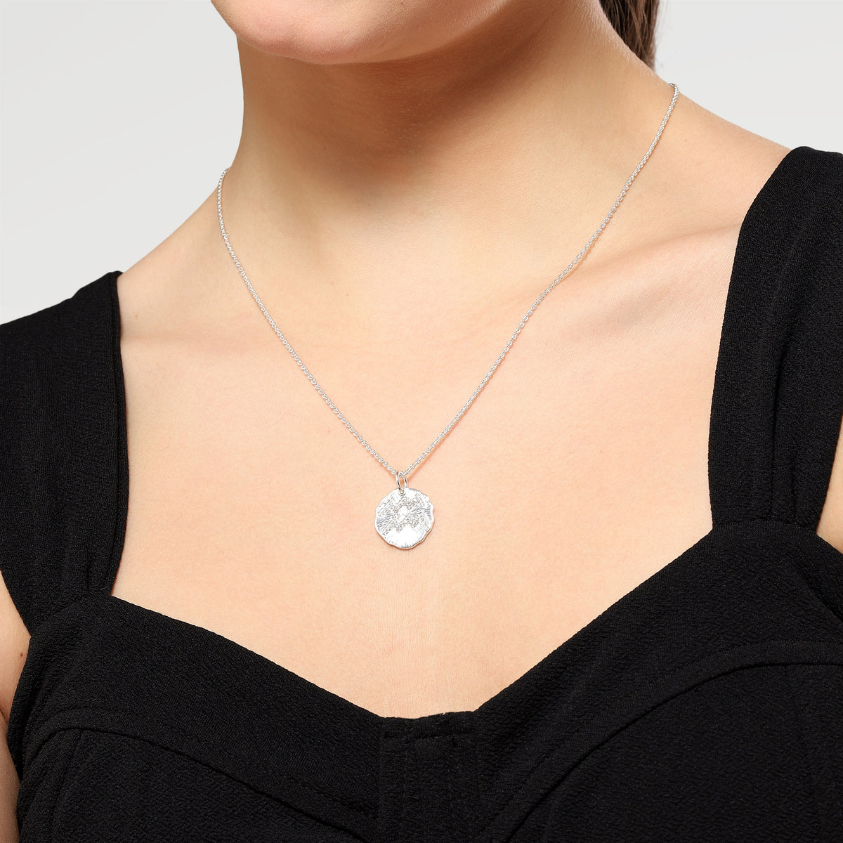 Lily CZ Aquarius Zodiac Slider Necklace