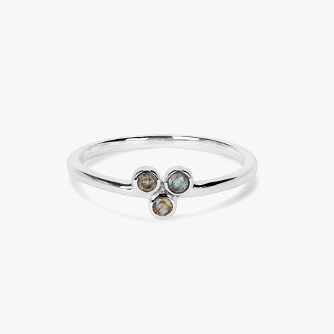 Nora Silver Labradorite Adjustable Ring