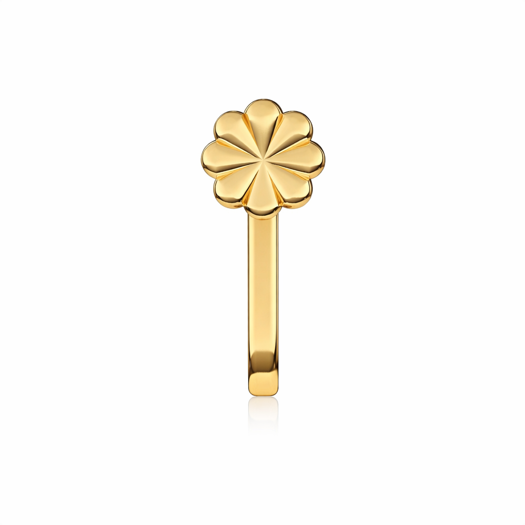 Aqia Silver Nose Pin