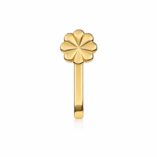 Aqia Silver Nose Pin