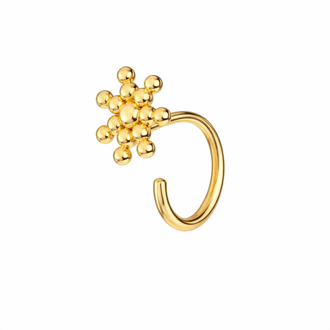 Alra Silver Nose Pin