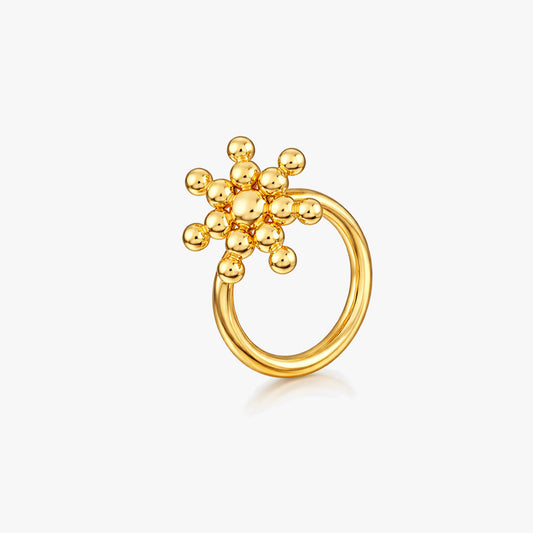 Alra Silver Nose Pin