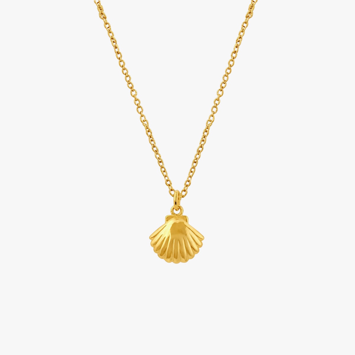 Ava Silver Shell Necklace