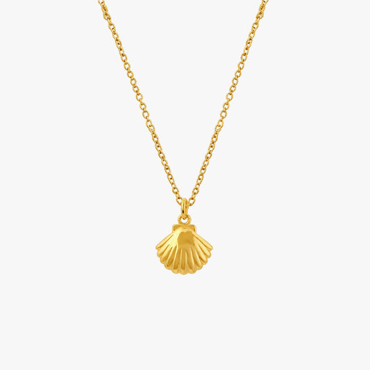 Ava Silver Shell Necklace