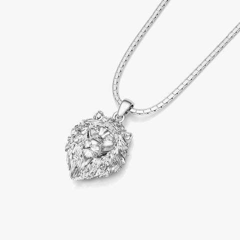 Bran Silver Necklace