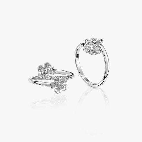 Wera Silver Toe Ring