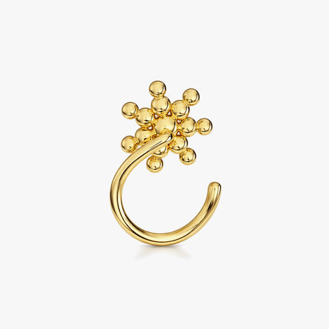 Alra Silver Nose Pin